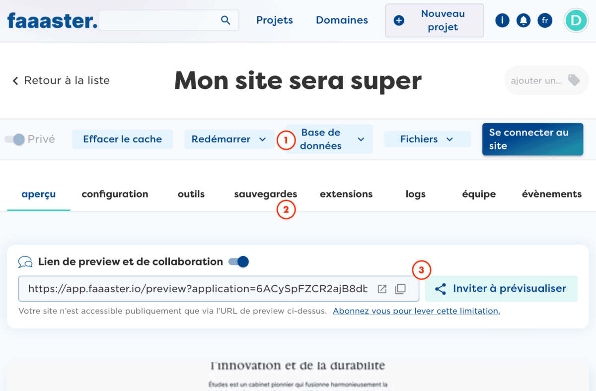 Faaaster : Découverte de l'interface de l'hébergeur web - Wooordpress